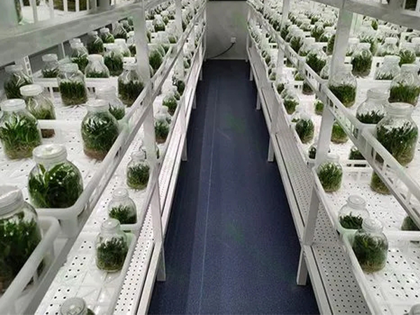 91香蕉APP下载室设计厂家 91香蕉APP下载室设计厂家