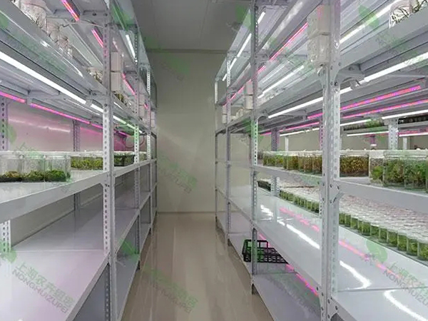 91香蕉APP下载室设计厂家 91香蕉APP下载室设计厂家