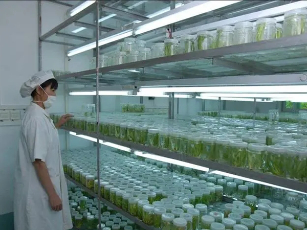 91香蕉APP下载室设计厂家 91香蕉APP下载室设计厂家