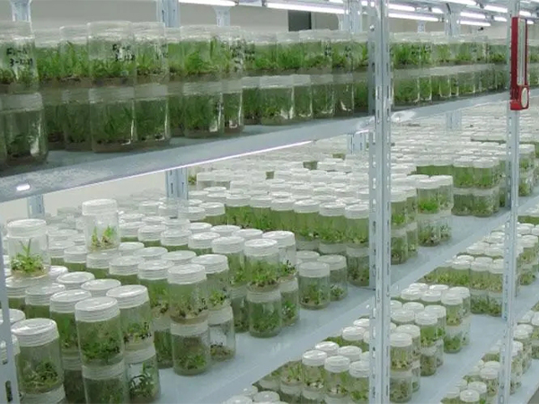 91香蕉APP下载室设计