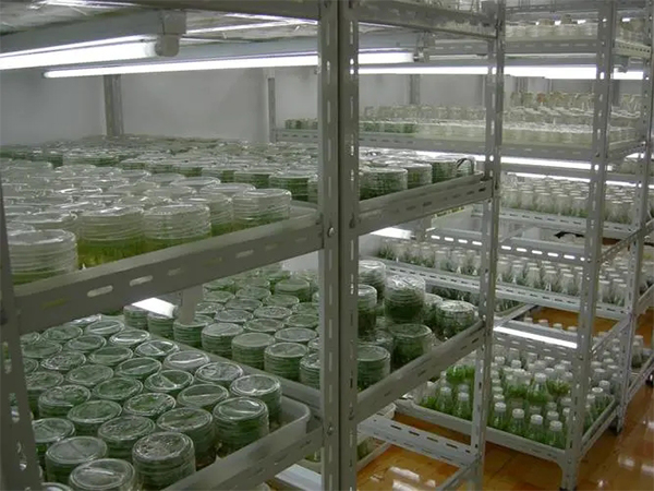 91香蕉APP下载室设计厂家