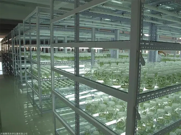 91香蕉APP下载室设计建设厂家 91香蕉APP下载室设计建设厂家