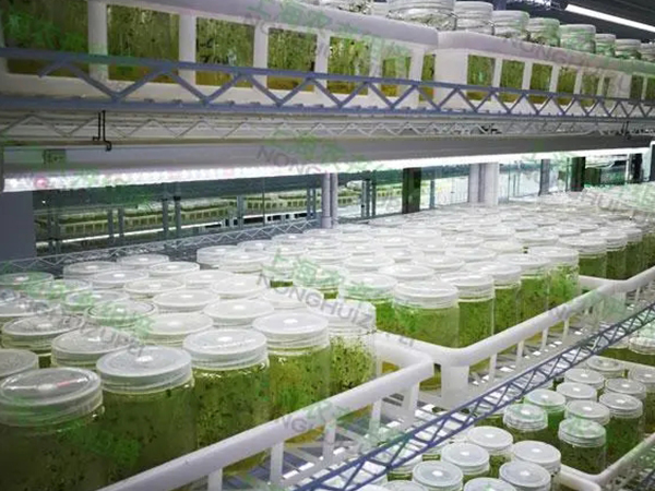 91香蕉APP下载室设计建设公司