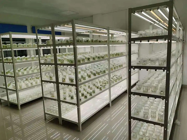 91香蕉APP下载室设计 91香蕉APP下载室设计