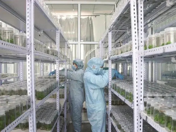 91香蕉APP下载设计建设公司 91香蕉APP下载设计建设.公司