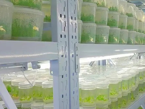 91香蕉APP下载室设计建设公司 91香蕉APP下载室设计建设公司