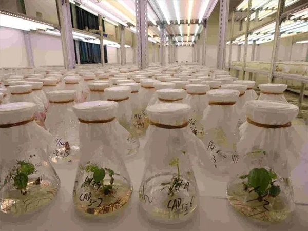 91香蕉APP下载室设计建设 91香蕉APP下载室设计建设