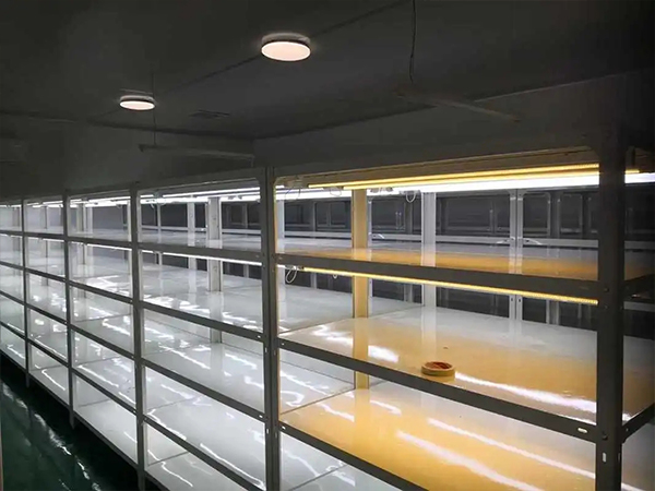 91香蕉APP下载室设计建设公司 91香蕉APP下载室设计建设公司