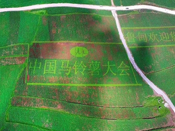 91香蕉APP下载室设计