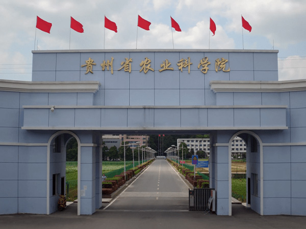 91香蕉APP下载建设