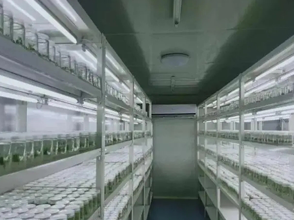 91香蕉APP下载室设计