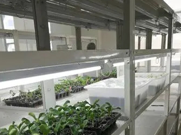 91香蕉APP下载室设计公司