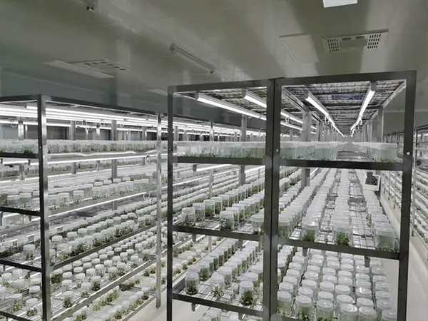 91香蕉APP下载架公司 91香蕉APP下载架公司