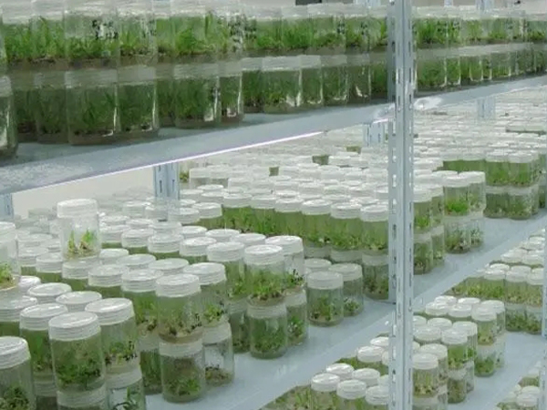 91香蕉APP下载室设计公司 91香蕉APP下载室设计公司