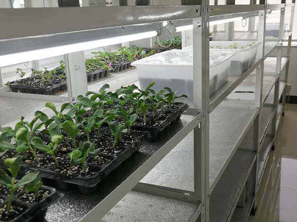 91香蕉APP下载室设计公司 91香蕉APP下载室设计公司